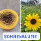 Serie 4 - Blumen