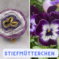 Serie 4 - Blumen